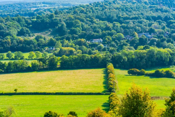 Chalet Land, A Possession Claim, An application for summary judgement and strike out – what could go wrong?