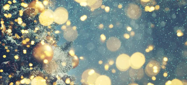 Property Newsletter: December 2023