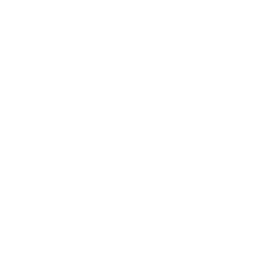 Cyber Essentials logo
