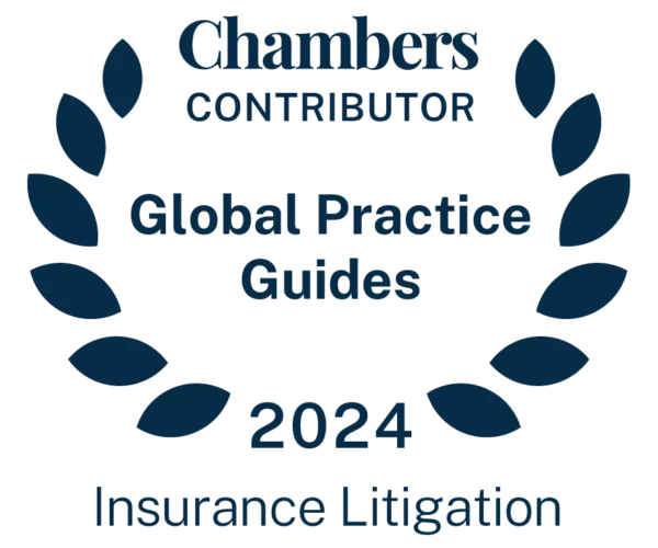 Insurance Litigation 