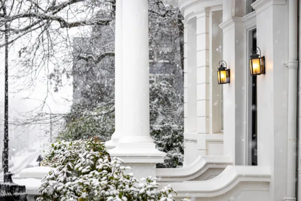 Property Newsletter: December 2024