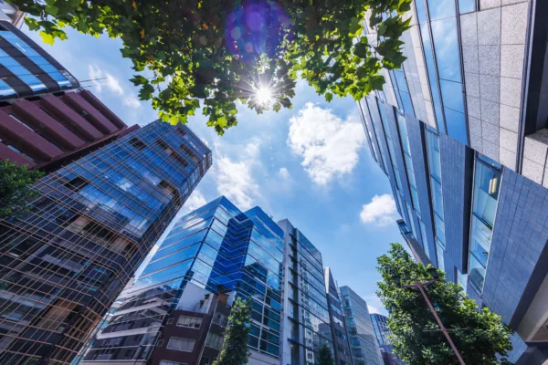 Property Newsletter: February 2025