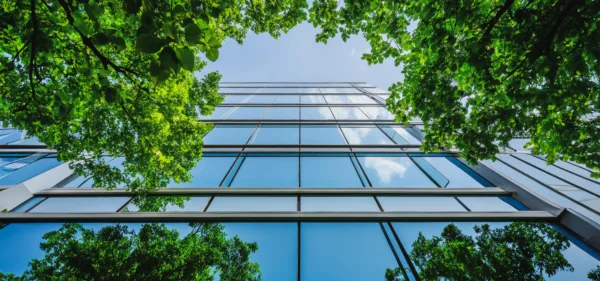 Property Newsletter: July 2025